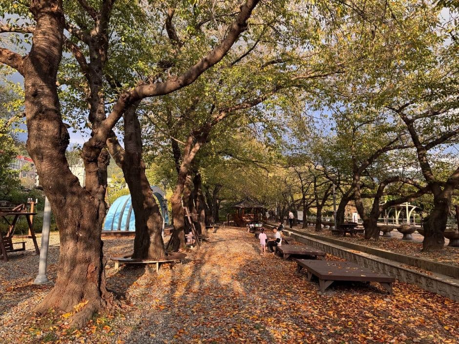경화역공원