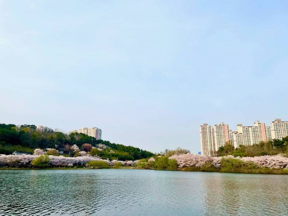 선암호수공원