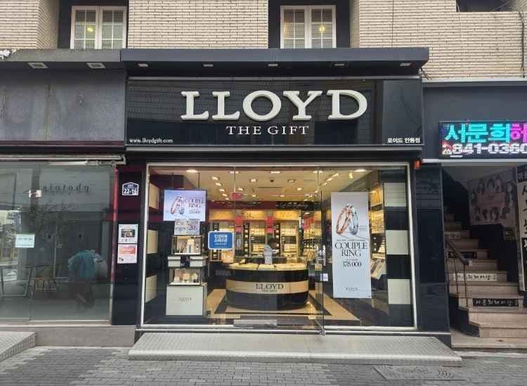 로이드 안동점