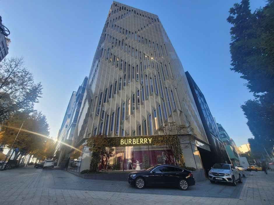 버버리코리아