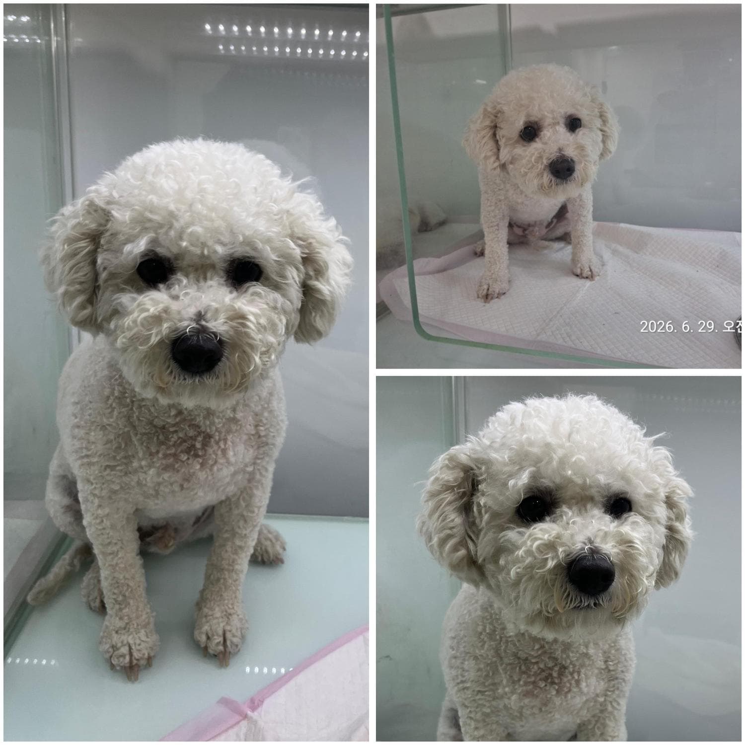 전남광주통합특별시 여수시 000018 구조 사진