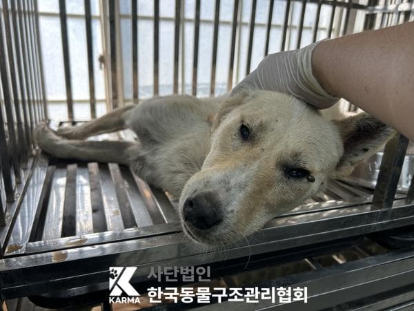 경기도 양주시 000114 구조 사진