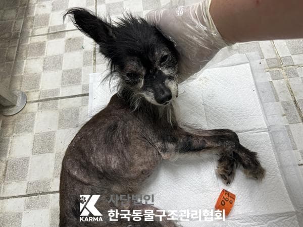경기도 양주시 000114 구조 사진