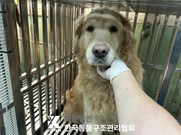 경기도 양주시 000054 구조 사진