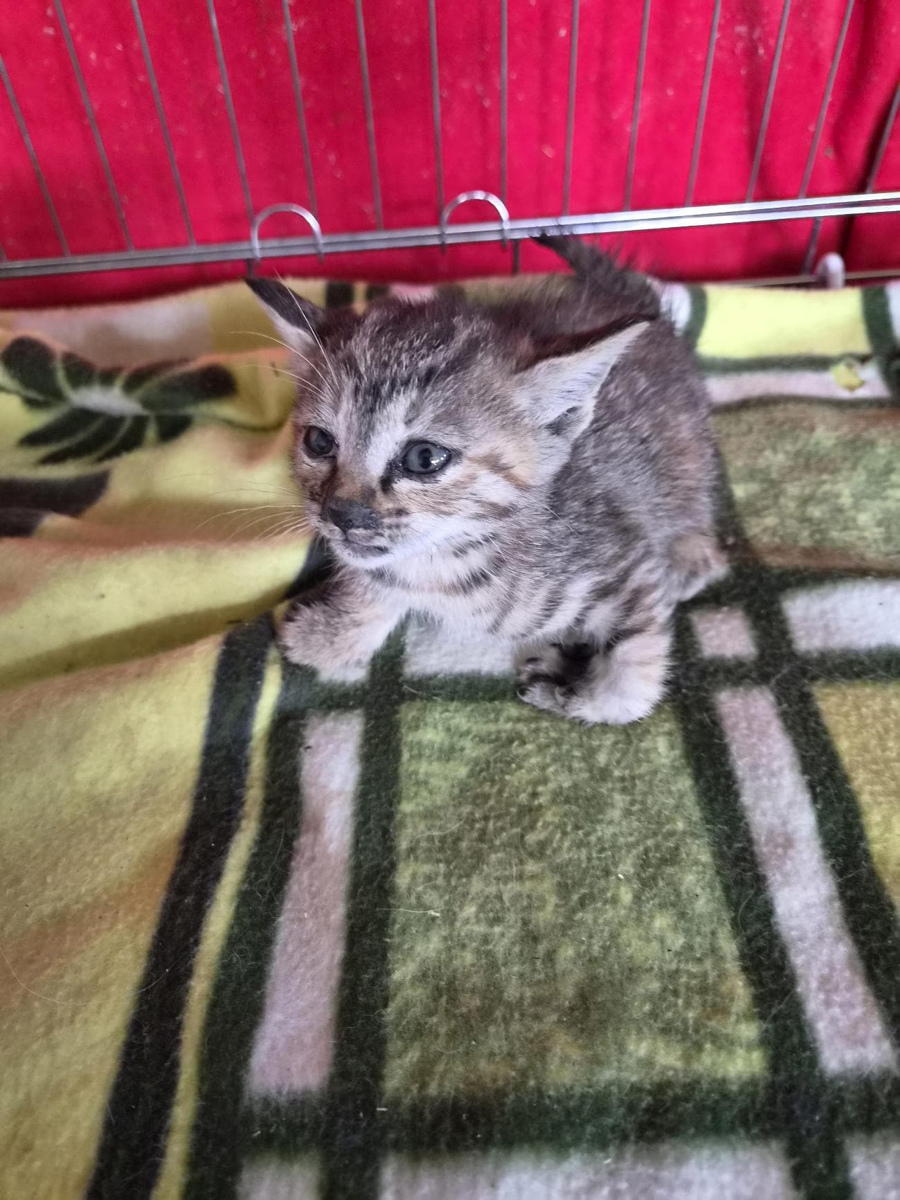 부산광역시 강서구 000200 구조 사진