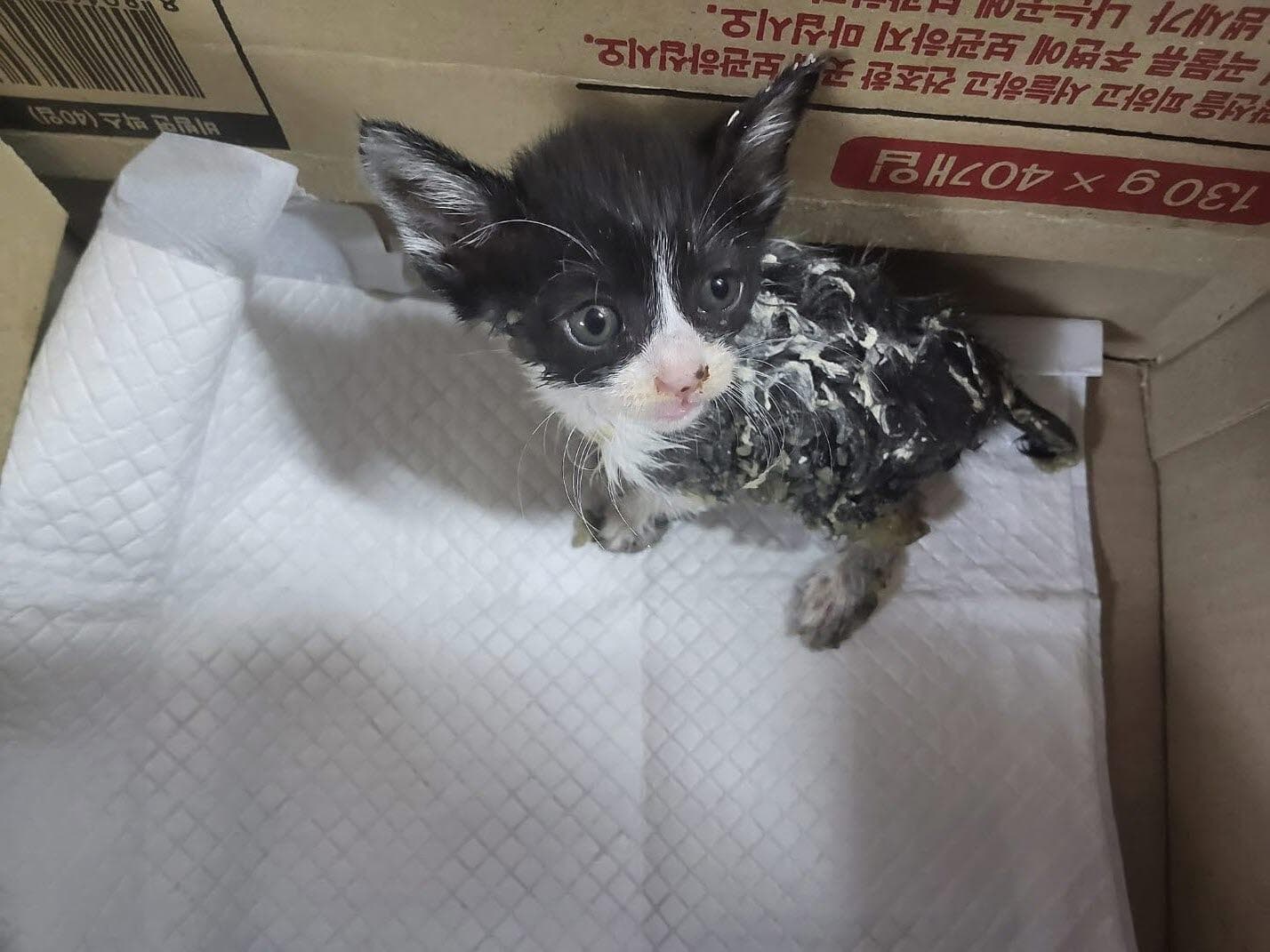 부산광역시 강서구 000200 구조 사진