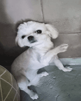 000072