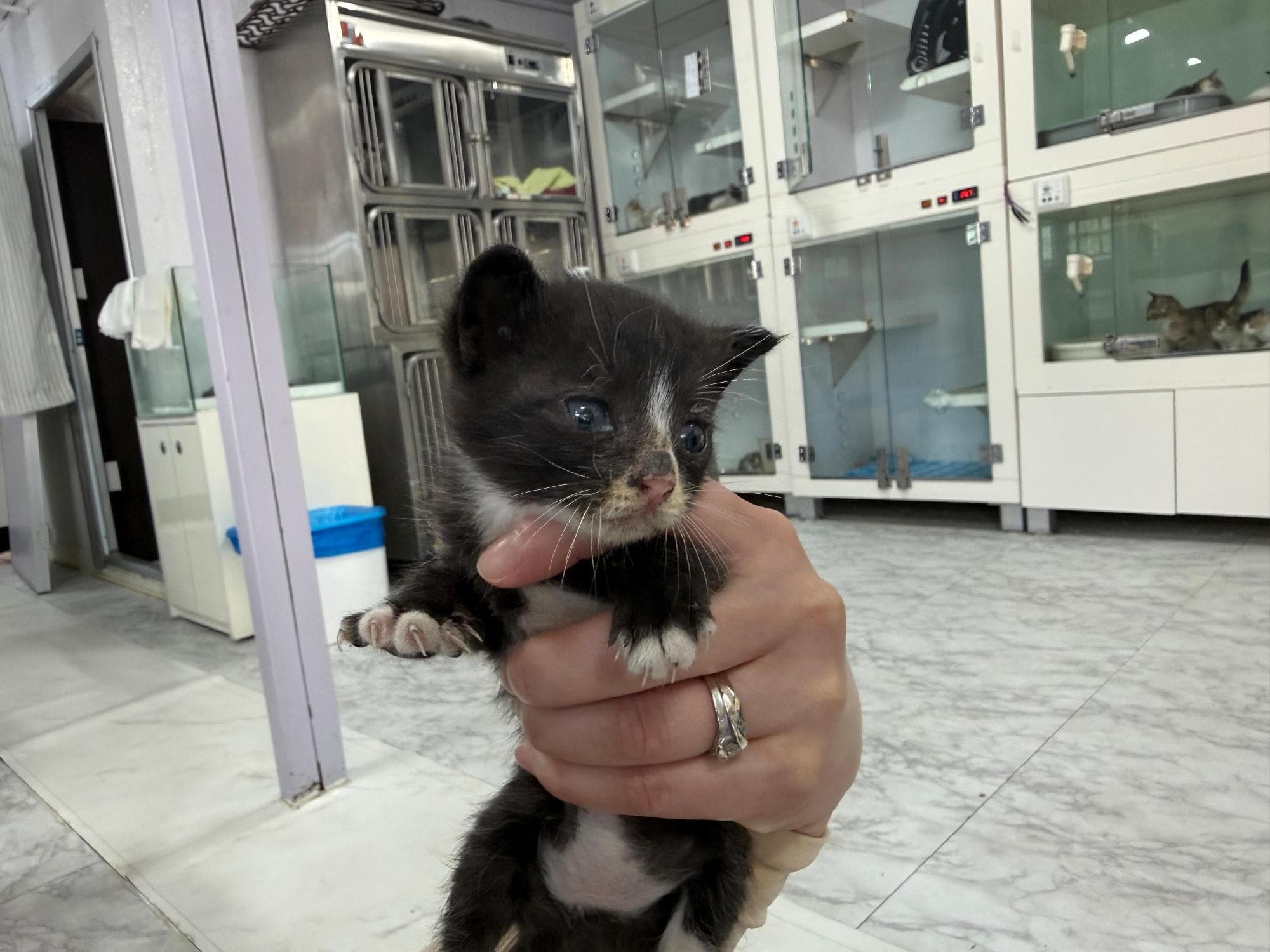 경기도 화성시 000200 구조 사진