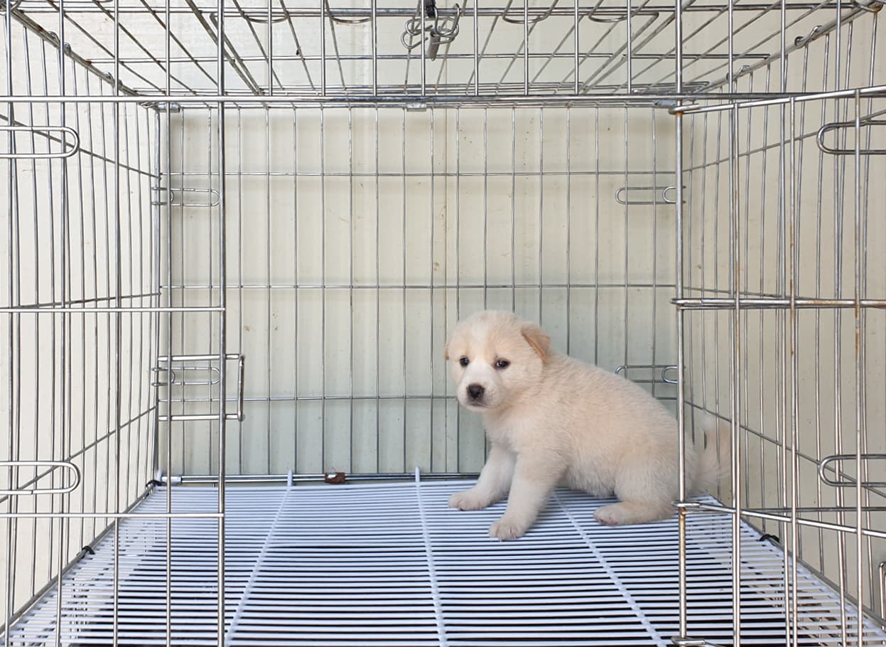 경기도 여주시 000114 구조 사진