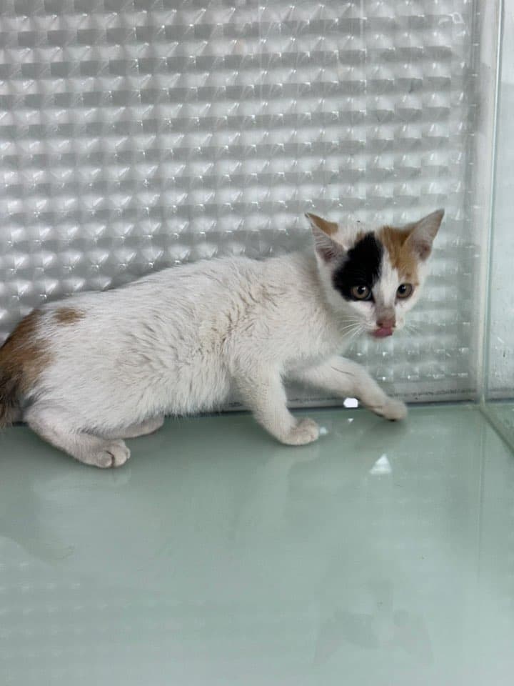 인천광역시 중구 000200 구조 사진