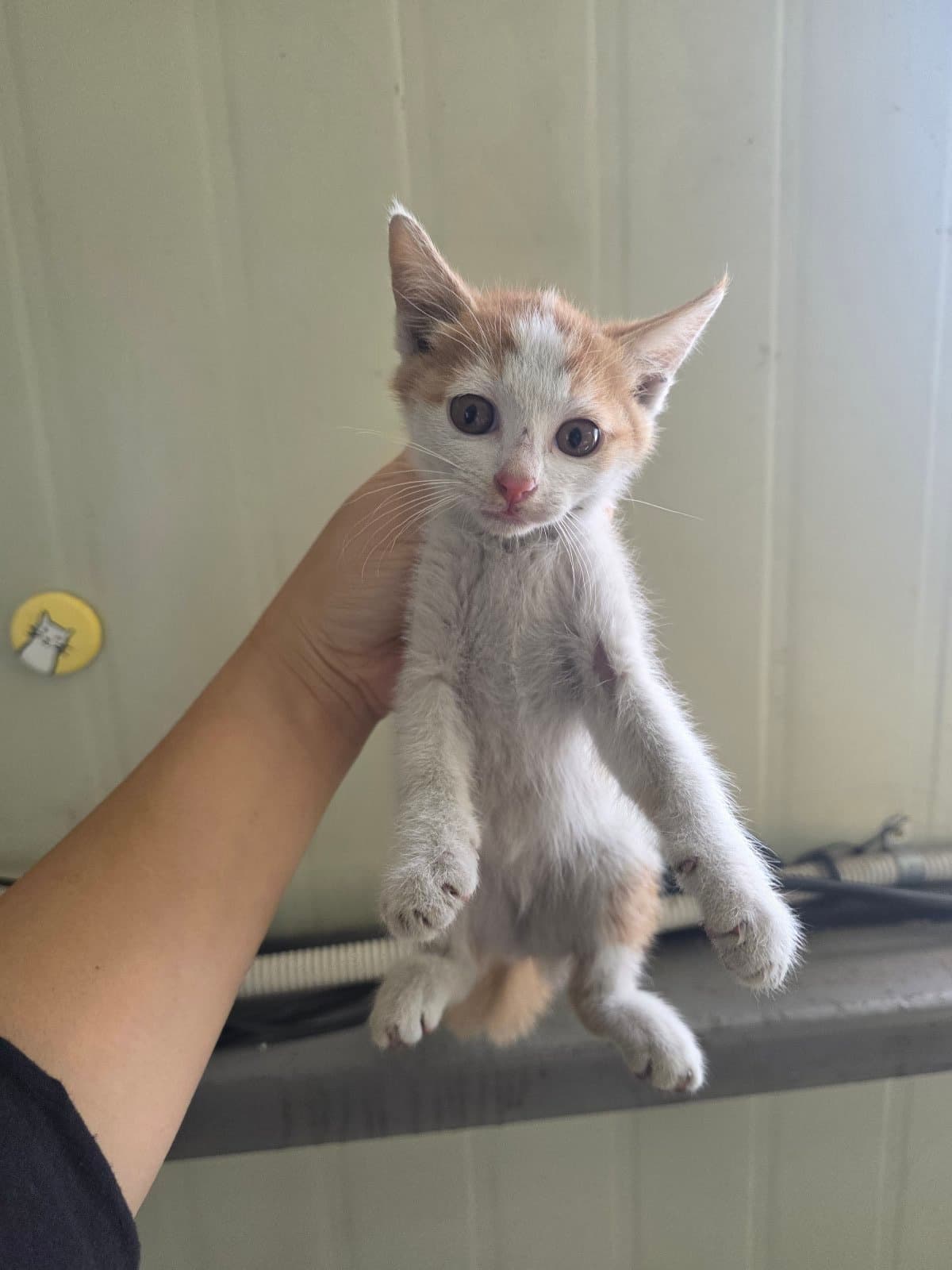 부산광역시 강서구 000200 구조 사진