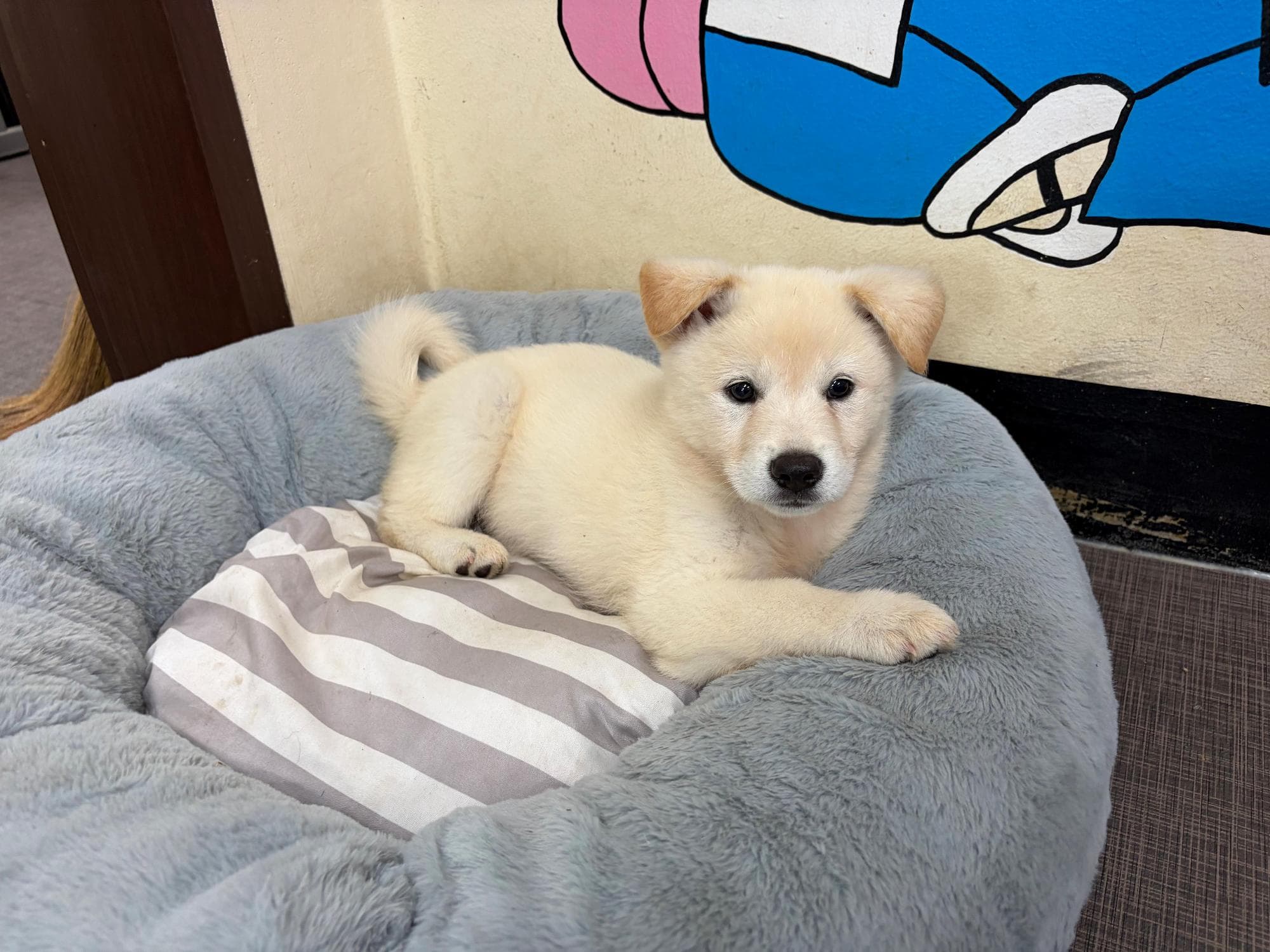 경상남도 하동군 000114 구조 사진