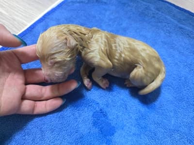 부산광역시 해운대구 000114 구조 사진