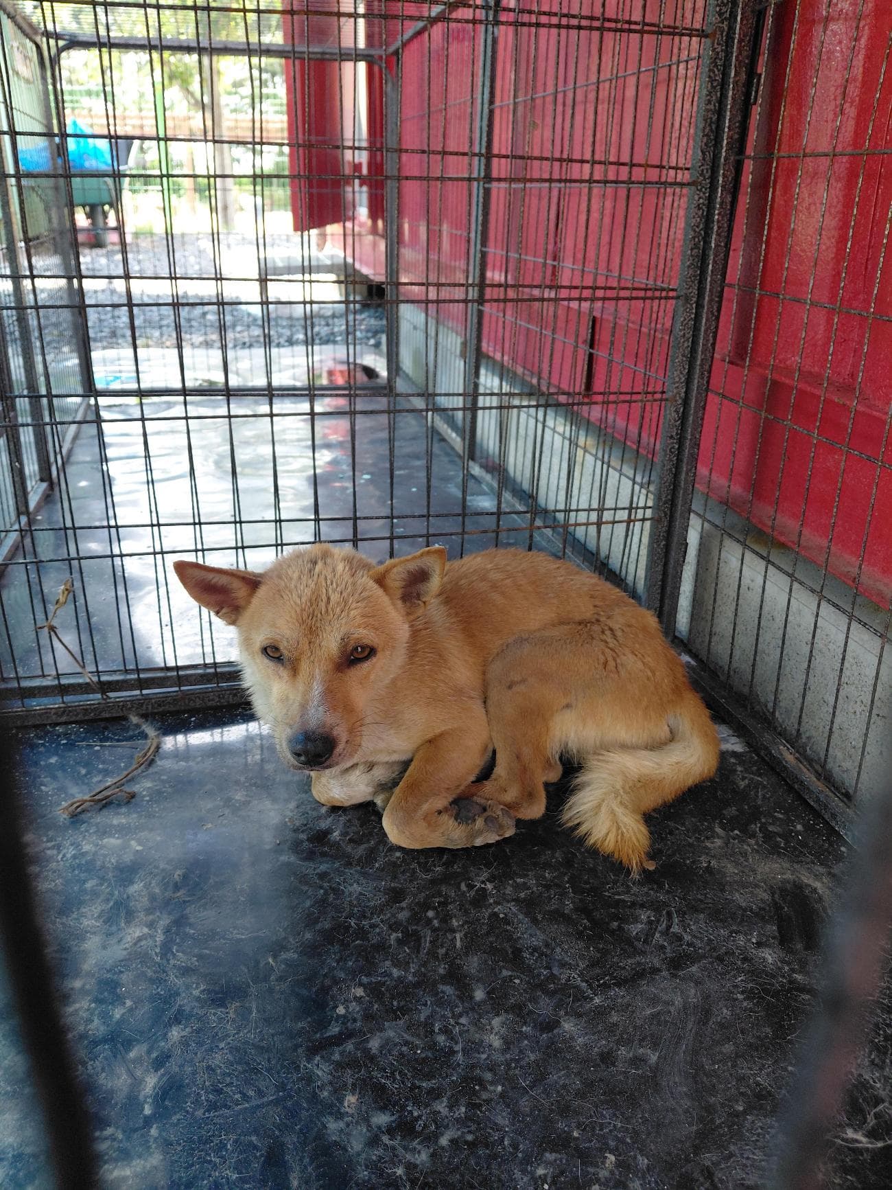충청남도 보령시 000114 구조 사진