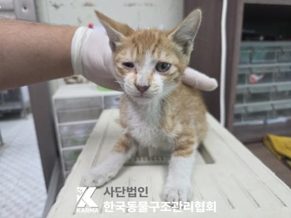 경기도 양주시 000200 구조 사진