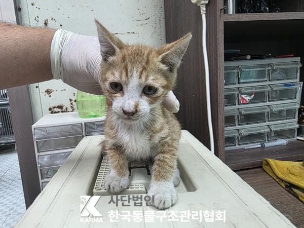 경기도 양주시 000200 구조 사진