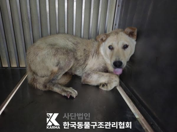 경기도 양주시 000114 구조 사진