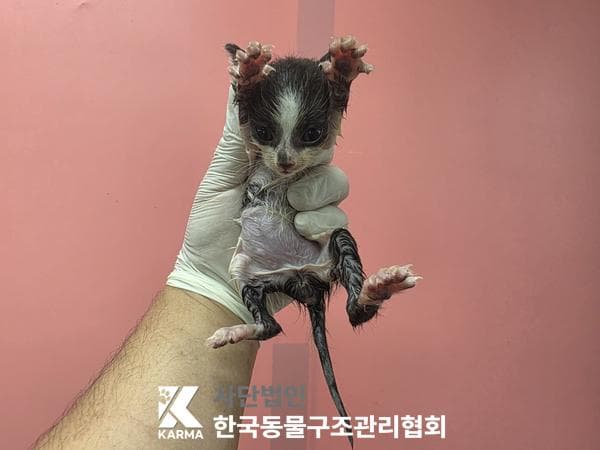 경기도 양주시 000200 구조 사진