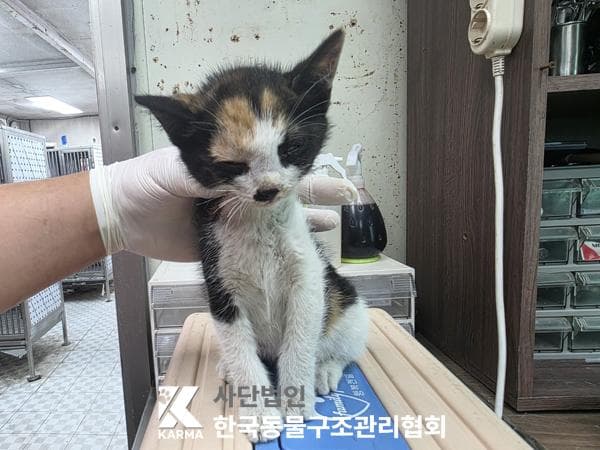 서울특별시 양주시 000200 구조 사진