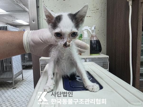 000200