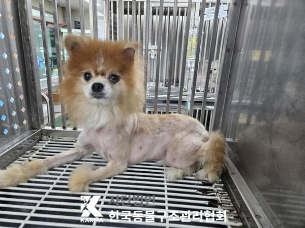 서울특별시 양주시 000089 구조 사진