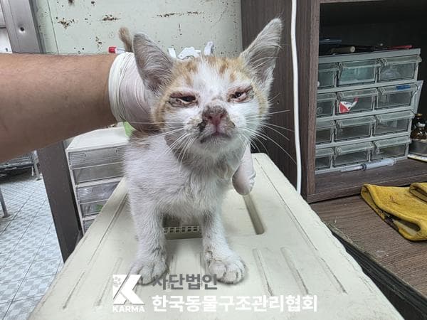 경기도 양주시 000200 구조 사진