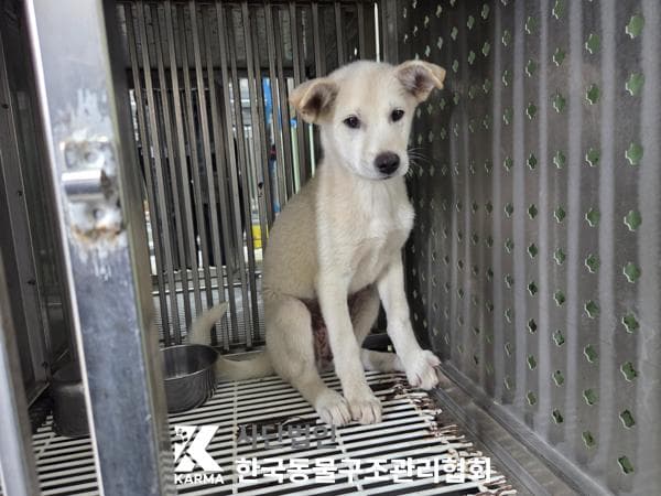 경기도 양주시 000114 구조 사진