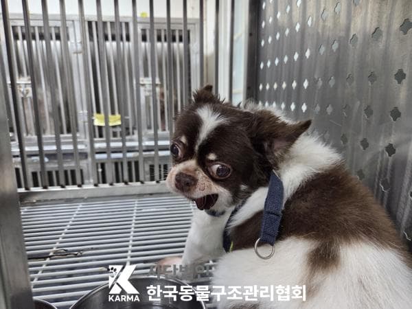 서울특별시 양주시 000032 구조 사진