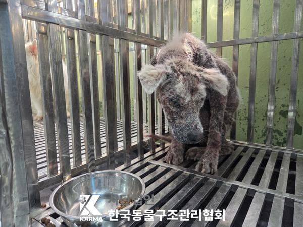 경기도 양주시 000114 구조 사진