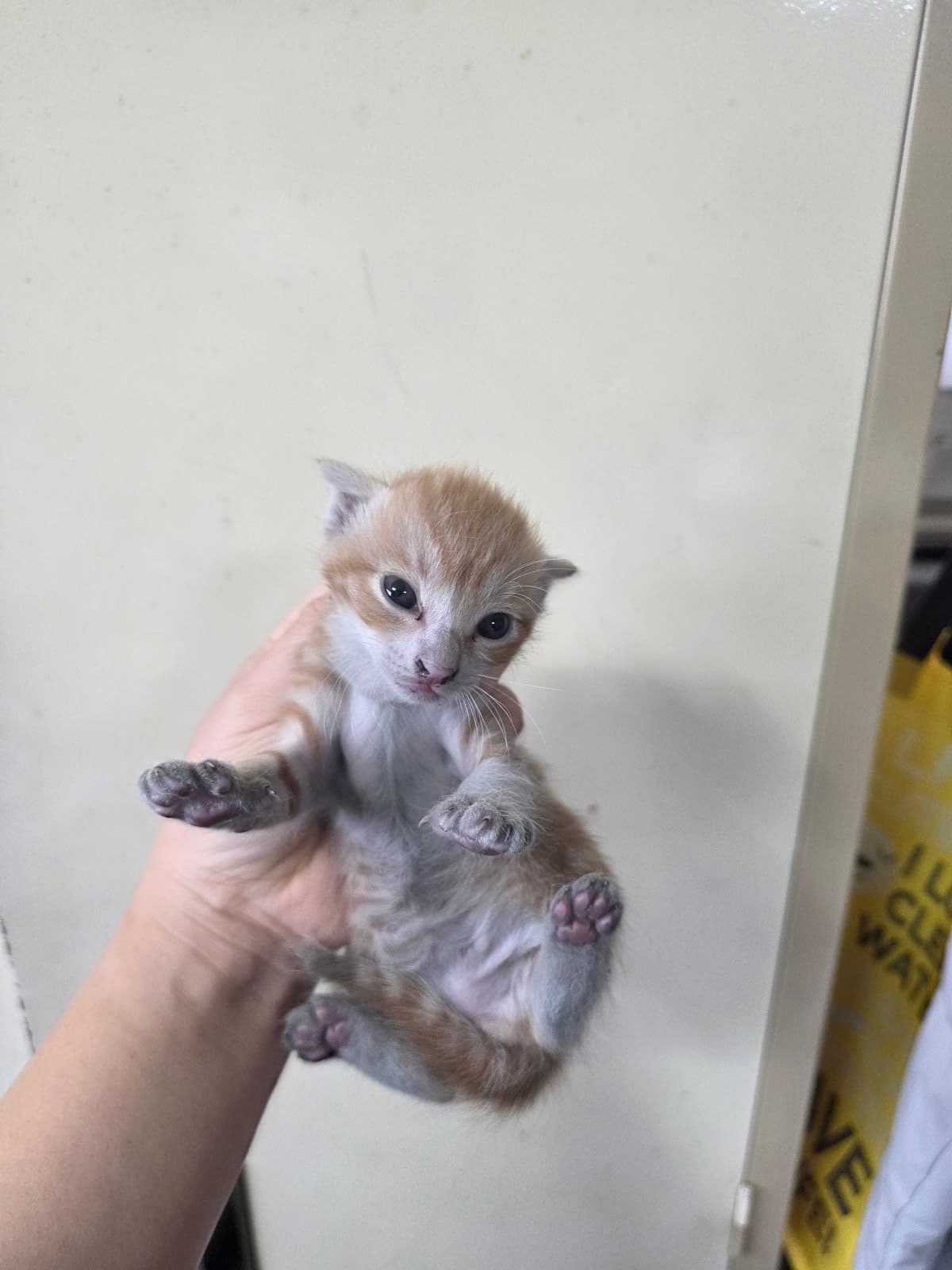 부산광역시 강서구 000200 구조 사진