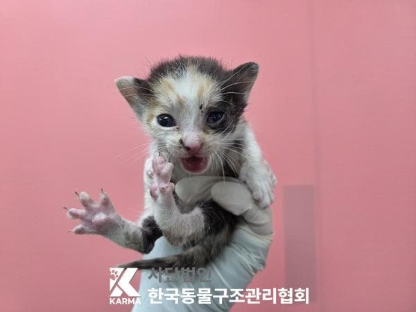 경기도 양주시 000200 구조 사진