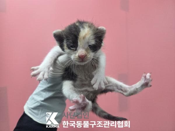 경기도 양주시 000200 구조 사진