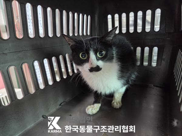 경기도 양주시 000200 구조 사진