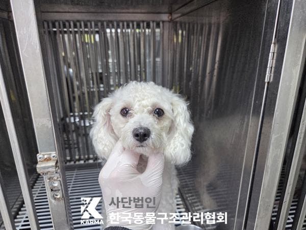 경기도 양주시 000128 구조 사진