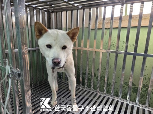 경기도 양주시 000114 구조 사진