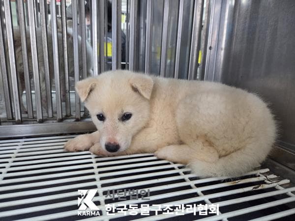 경기도 양주시 000114 구조 사진