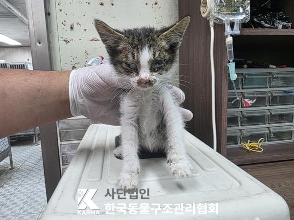 서울특별시 양주시 000200 구조 사진