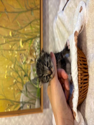 부산광역시 해운대구 000212 구조 사진