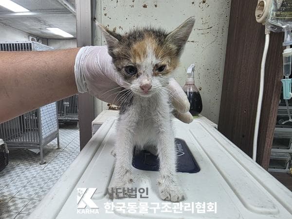 서울특별시 양주시 000200 구조 사진