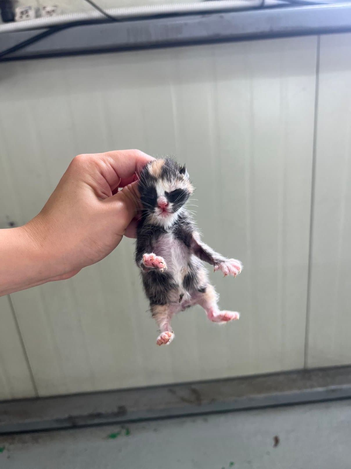 부산광역시 강서구 000200 구조 사진