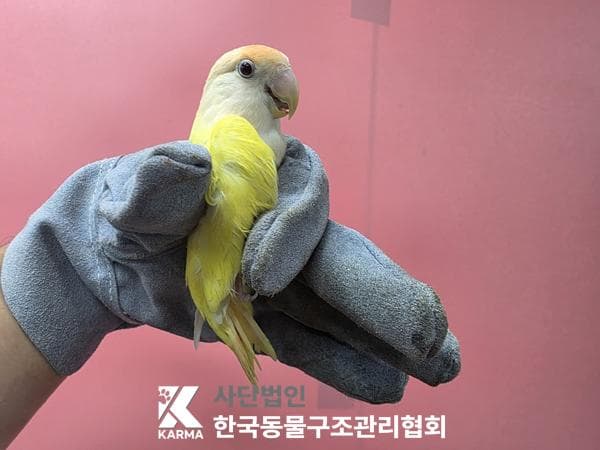 서울특별시 양주시 000117 구조 사진