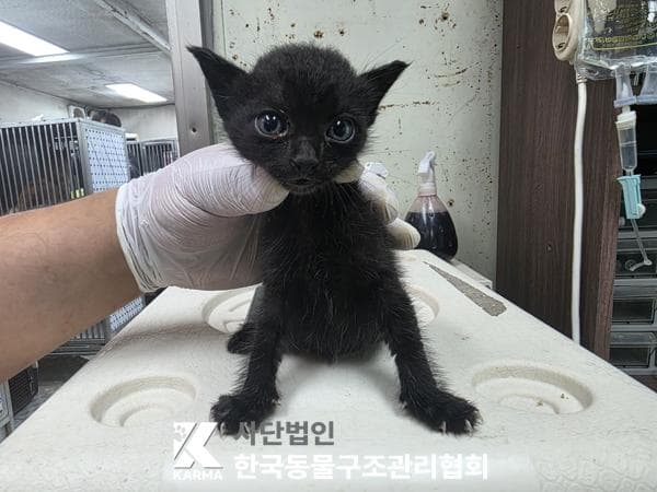 경기도 양주시 000200 구조 사진