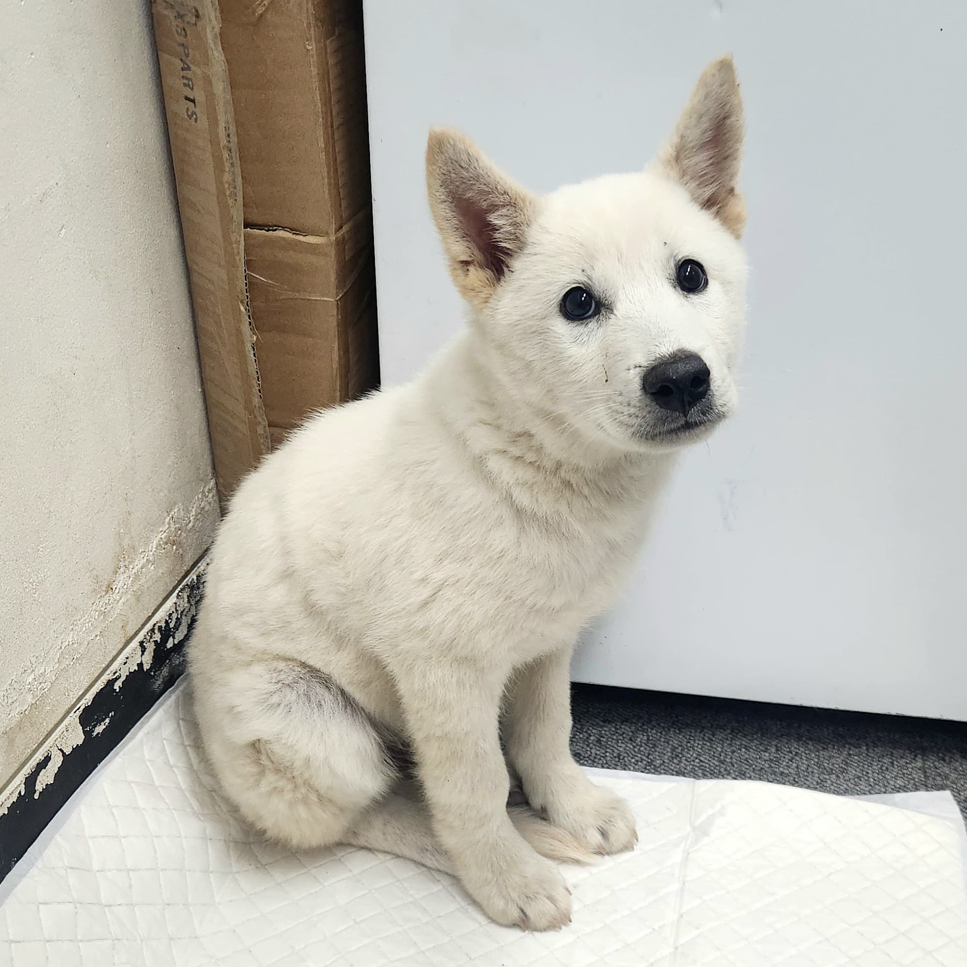 경기도 용인시 처인구 000114 구조 사진