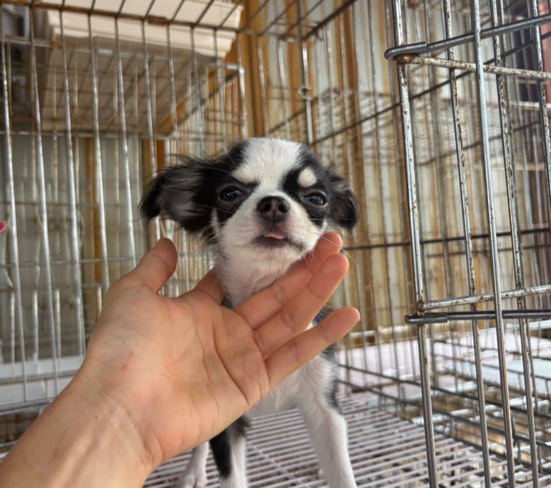 경기도 안산시 상록구 000032 구조 사진