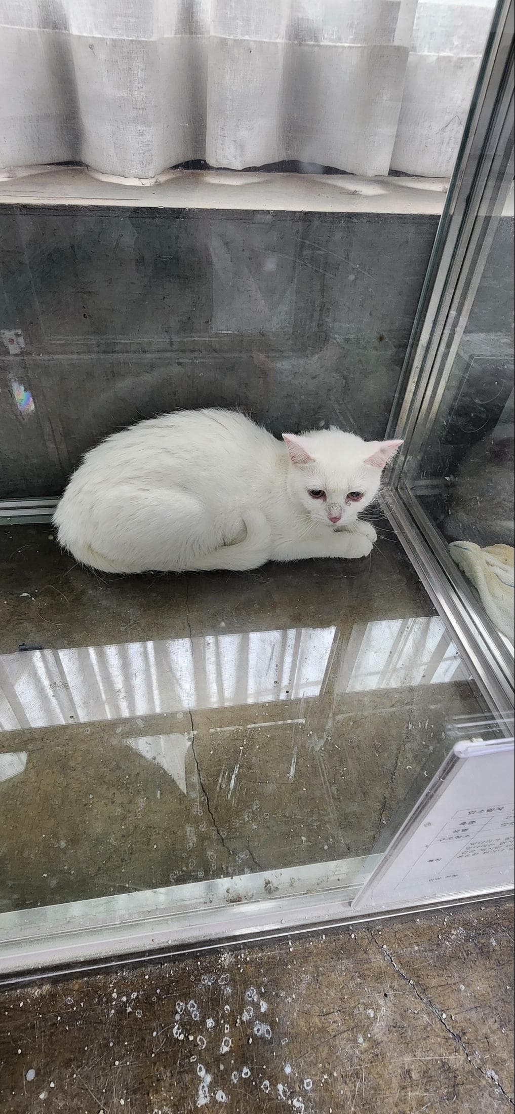 울산광역시 중구 000200 구조 사진