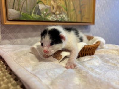 부산광역시 해운대구 000212 구조 사진