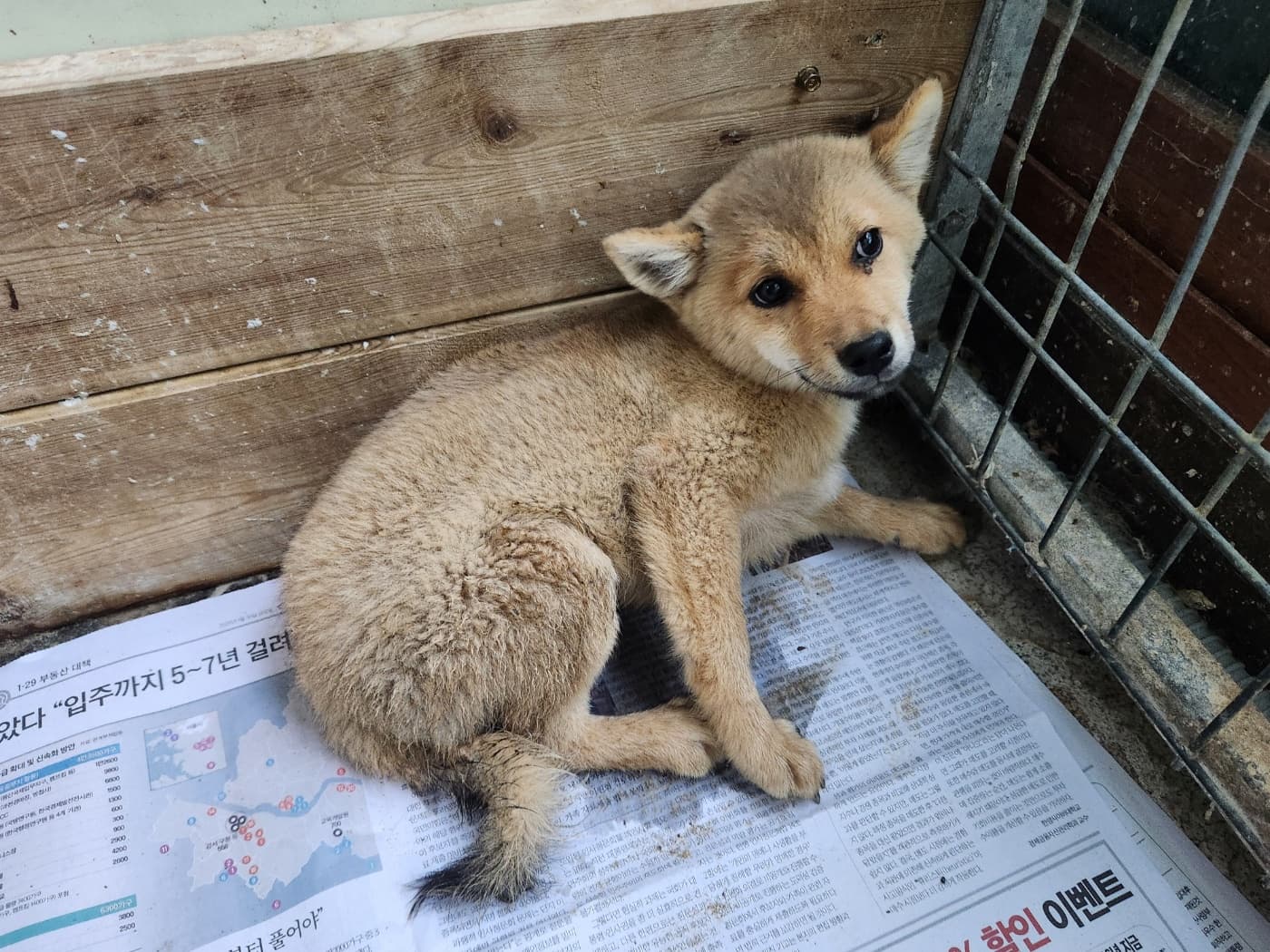 경기도 광주시 000114 구조 사진