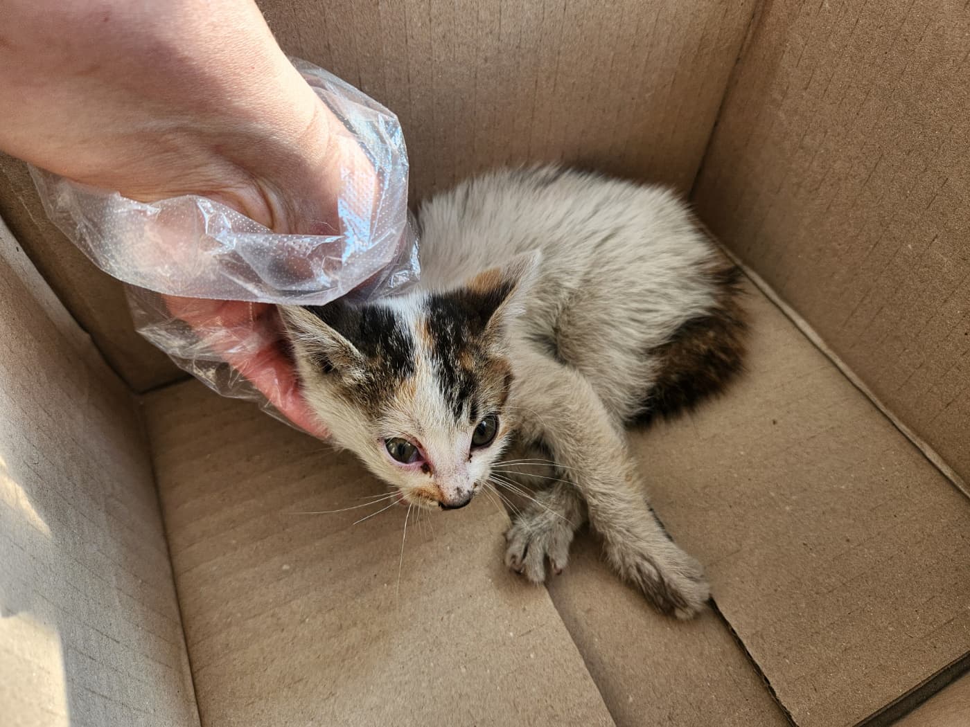 경기도 광주시 000200 구조 사진