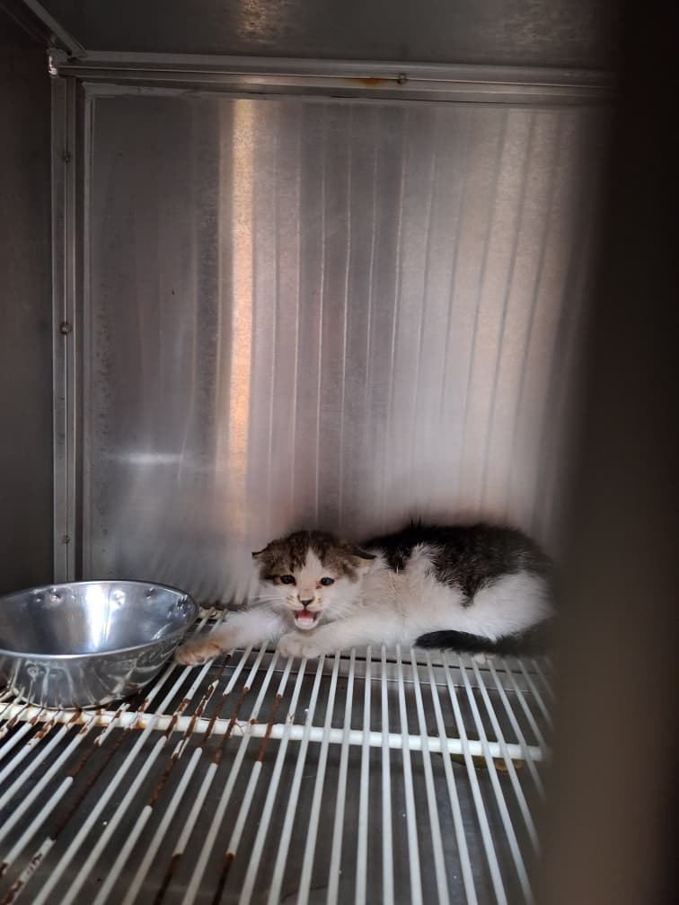 충청남도 금산군 000212 구조 사진