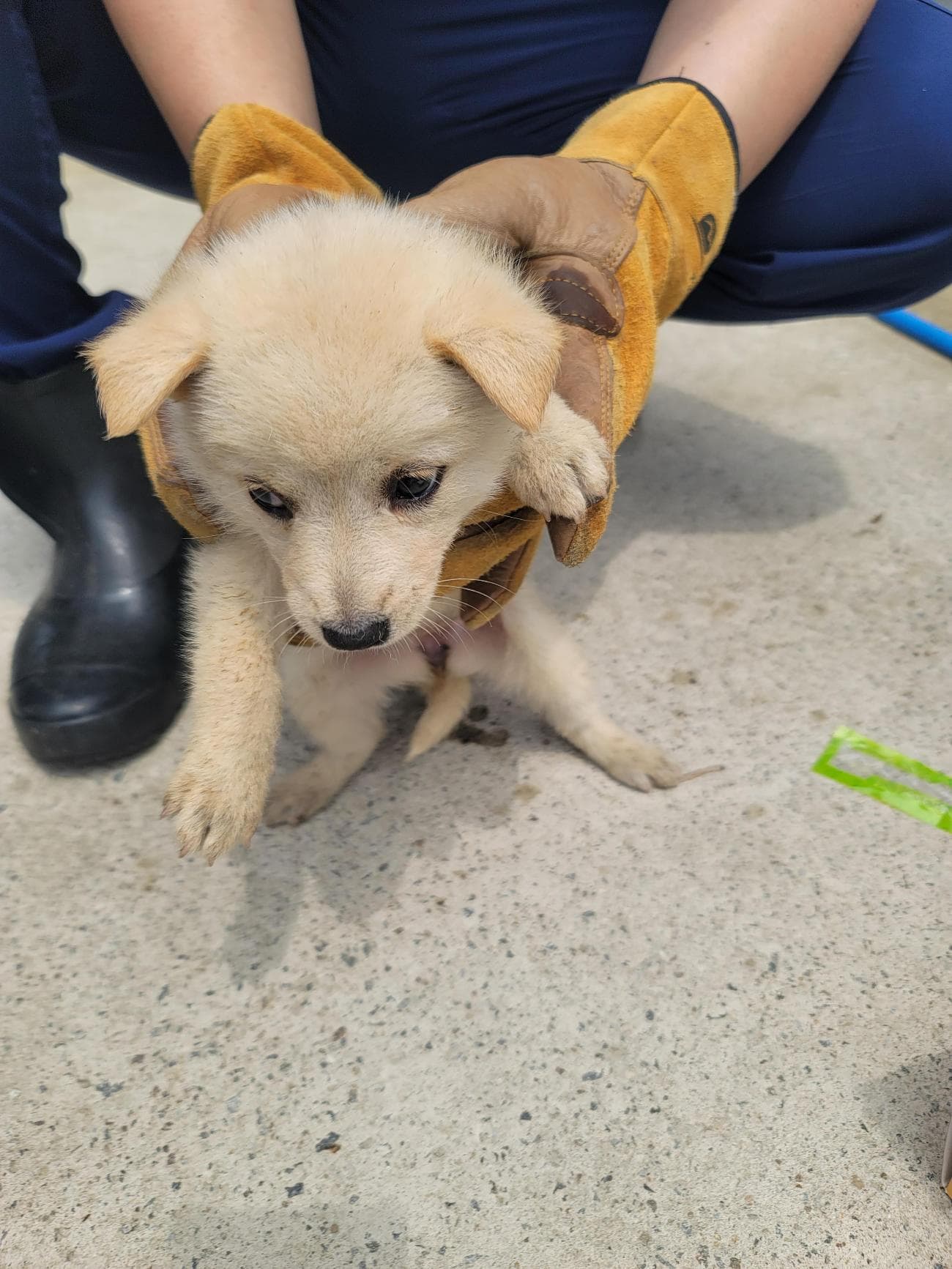 전남광주통합특별시 구례군 000114 구조 사진